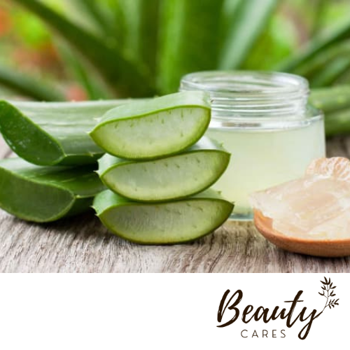 अलोवेरा/alovera