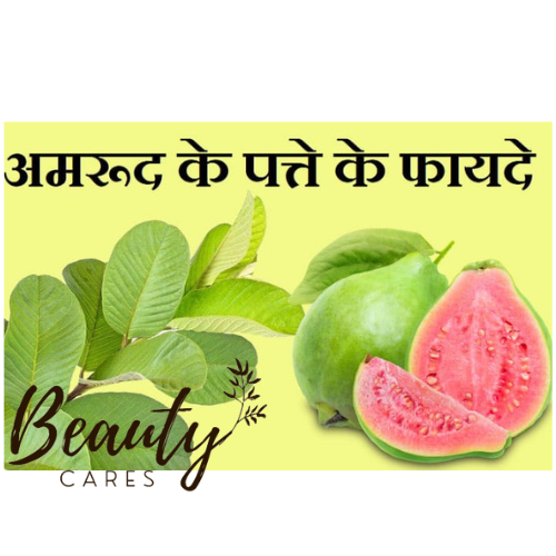 अमरूद के पत्ते /guava leaves